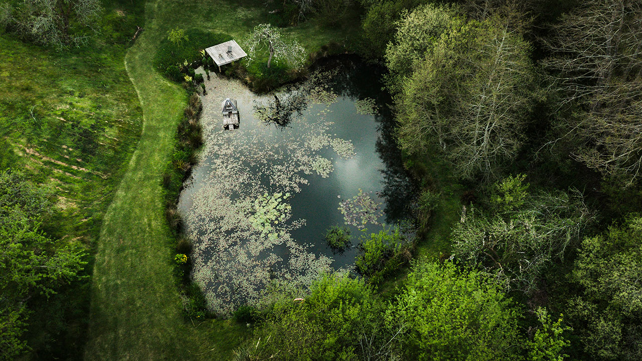 The Lily Pond at ANRÁN