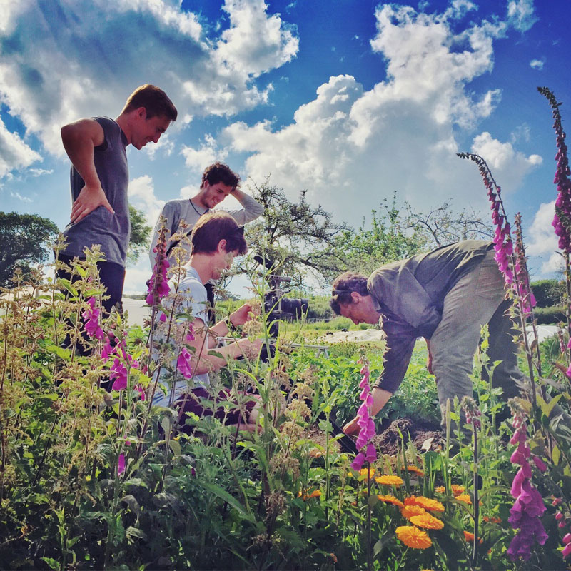 The Organic Kitchen Garden at ANRÁN