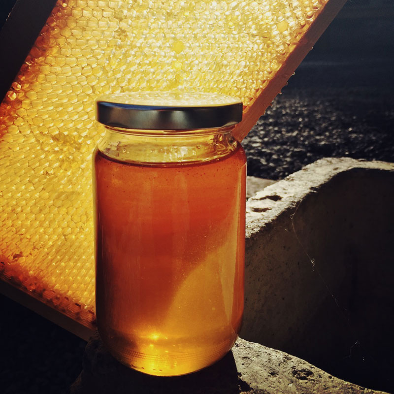 The Organic Kitchen Garden at ANRÁN