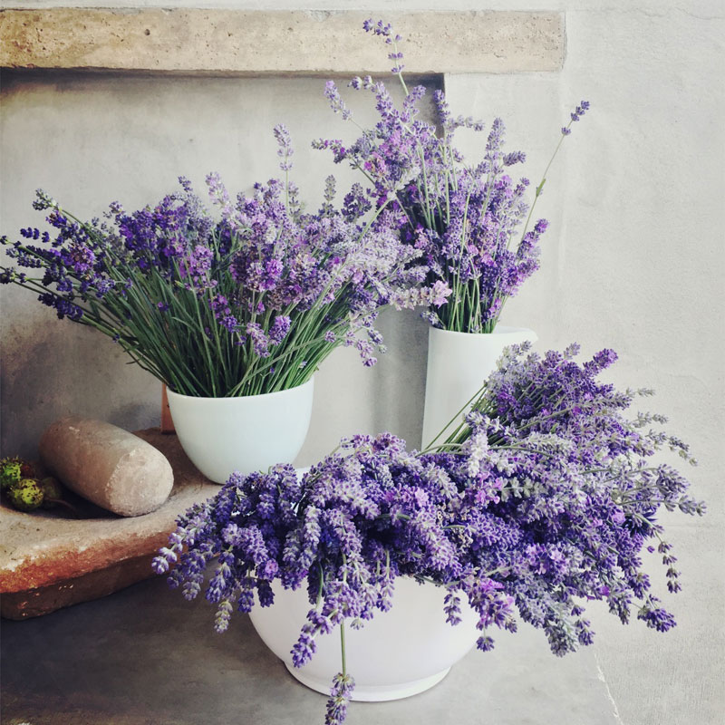 The Organic Kitchen Garden at ANRÁN