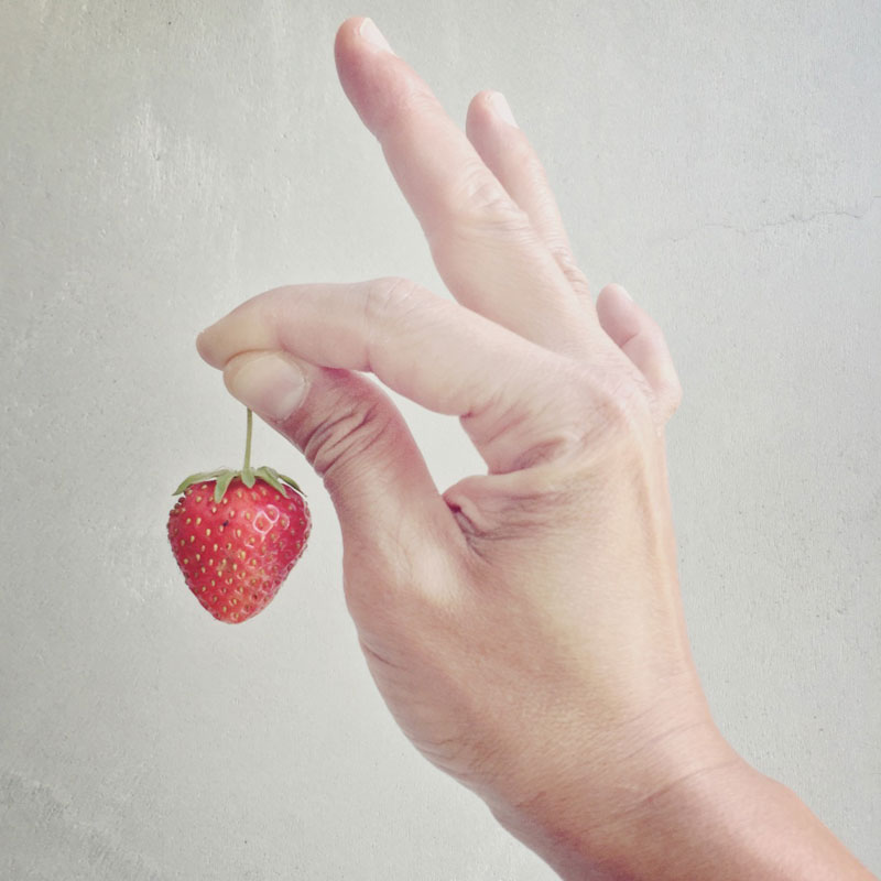 The Organic Kitchen Garden at ANRÁN