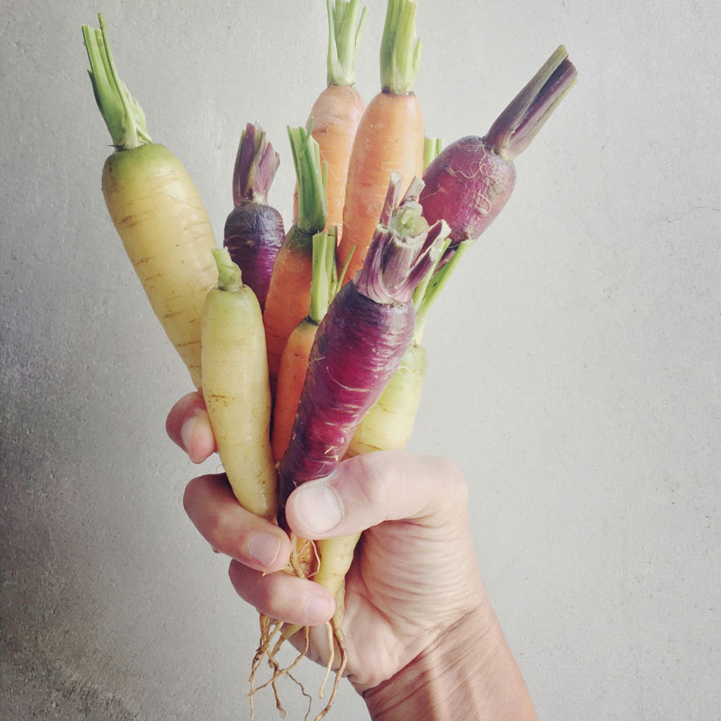 The Organic Kitchen Garden at ANRÁN
