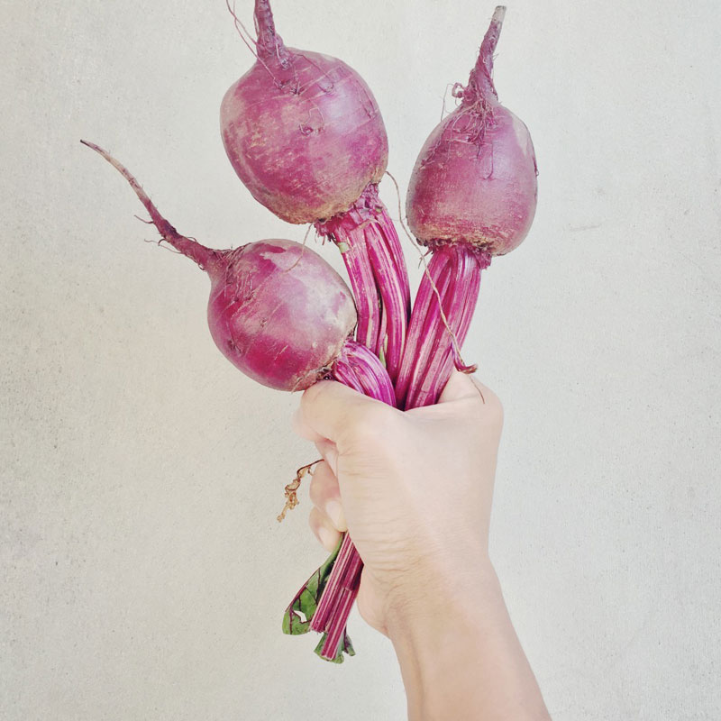 The Organic Kitchen Garden at ANRÁN