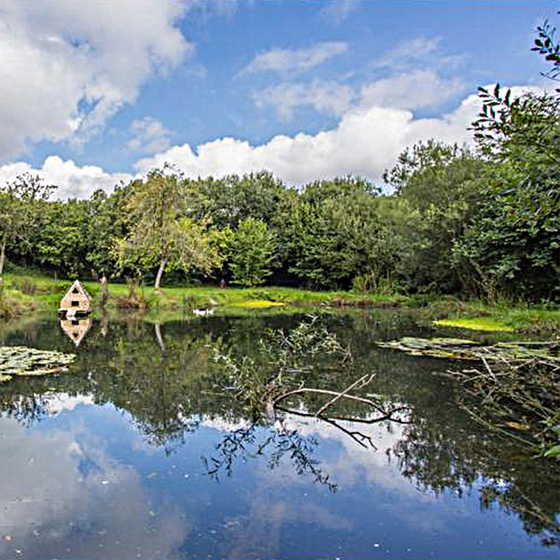 The Lily Pond at ANRÁN