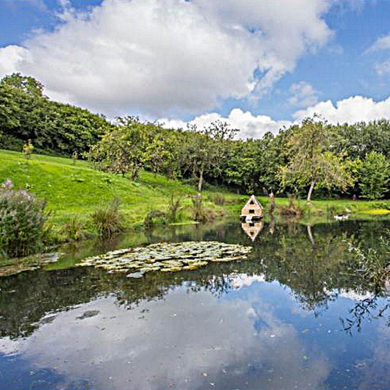 The Lily Pond at ANRÁN