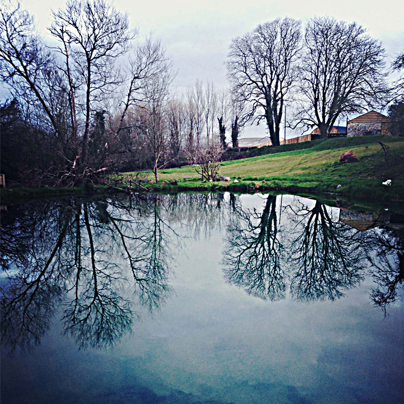 The Lily Pond at ANRÁN